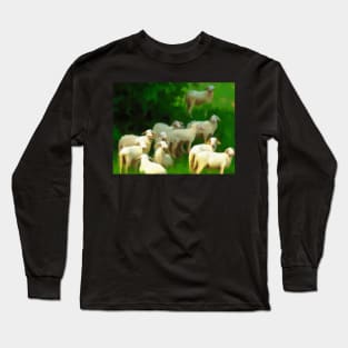 Christian Art I Know my Sheeps John 10:14 Bible Verse Long Sleeve T-Shirt